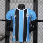 25-26 Gremio, Player