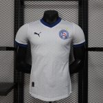 25-26 Bahia Home, Player
